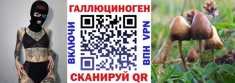 Купить закладки  Абаза  Галлюциногенные грибы Cubensis 